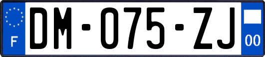 DM-075-ZJ