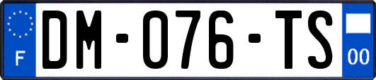 DM-076-TS