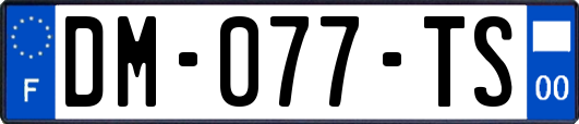 DM-077-TS