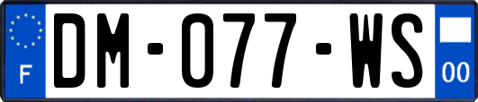 DM-077-WS