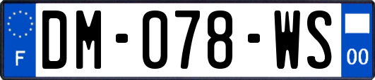 DM-078-WS