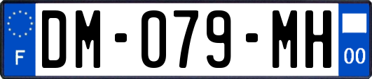 DM-079-MH