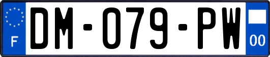 DM-079-PW