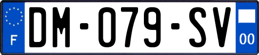 DM-079-SV