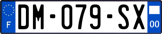 DM-079-SX