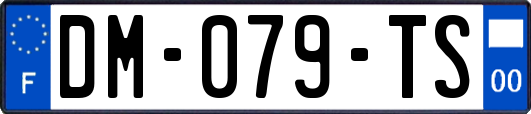 DM-079-TS