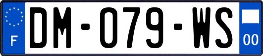 DM-079-WS