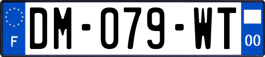 DM-079-WT