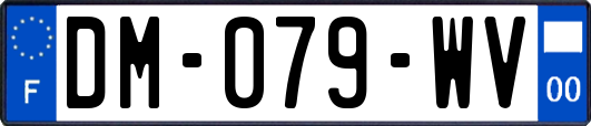 DM-079-WV