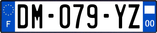 DM-079-YZ