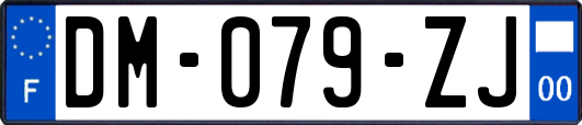 DM-079-ZJ