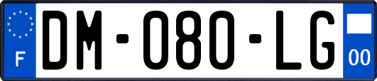 DM-080-LG