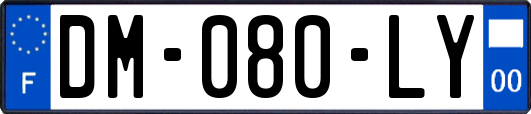 DM-080-LY
