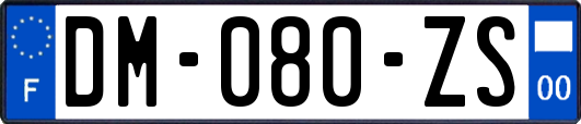 DM-080-ZS