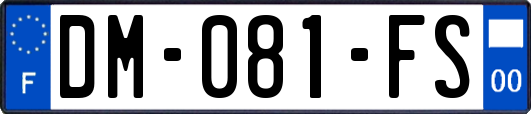 DM-081-FS