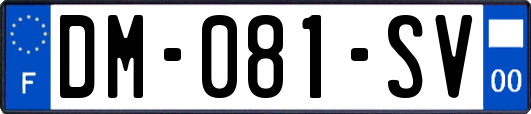 DM-081-SV