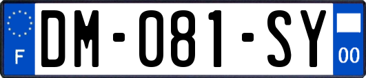DM-081-SY
