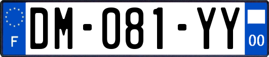 DM-081-YY