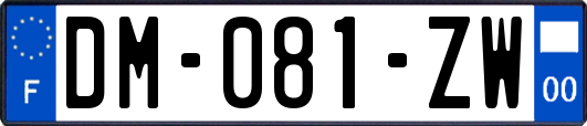 DM-081-ZW