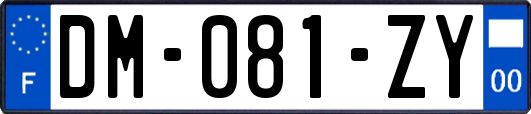 DM-081-ZY