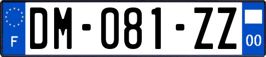 DM-081-ZZ