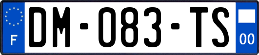 DM-083-TS