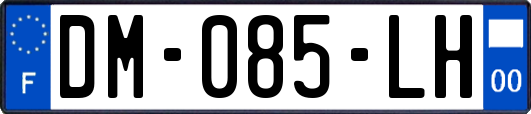 DM-085-LH