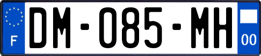 DM-085-MH