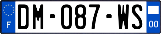 DM-087-WS