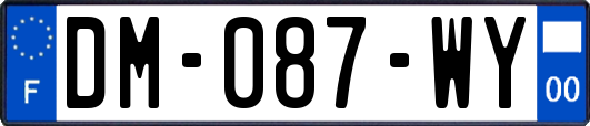 DM-087-WY