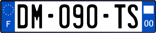 DM-090-TS