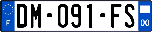 DM-091-FS