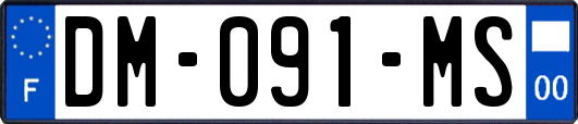 DM-091-MS