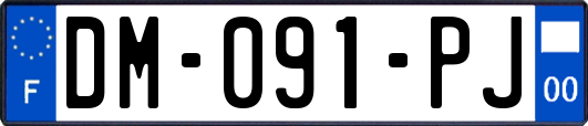 DM-091-PJ
