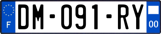 DM-091-RY