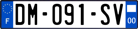 DM-091-SV