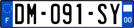 DM-091-SY