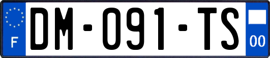 DM-091-TS