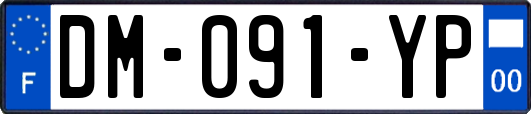 DM-091-YP