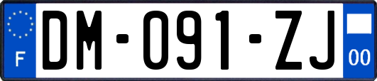 DM-091-ZJ