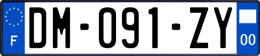 DM-091-ZY