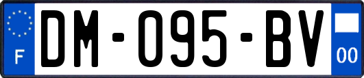 DM-095-BV