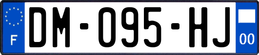 DM-095-HJ