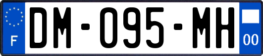 DM-095-MH