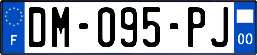 DM-095-PJ