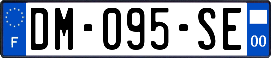 DM-095-SE
