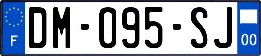 DM-095-SJ