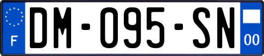 DM-095-SN