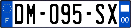 DM-095-SX