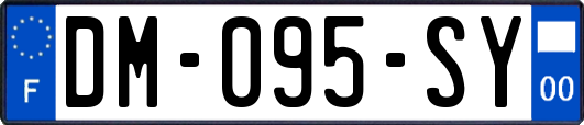 DM-095-SY